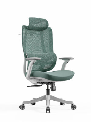 Guter Preis 150 kg Max. Gewichtskapazität Bürostuhl Drehstuhl Minzgrün Farben können angepasst werden Komfortabel ergonomisches Design geeignet für Arbeitsplätze Online